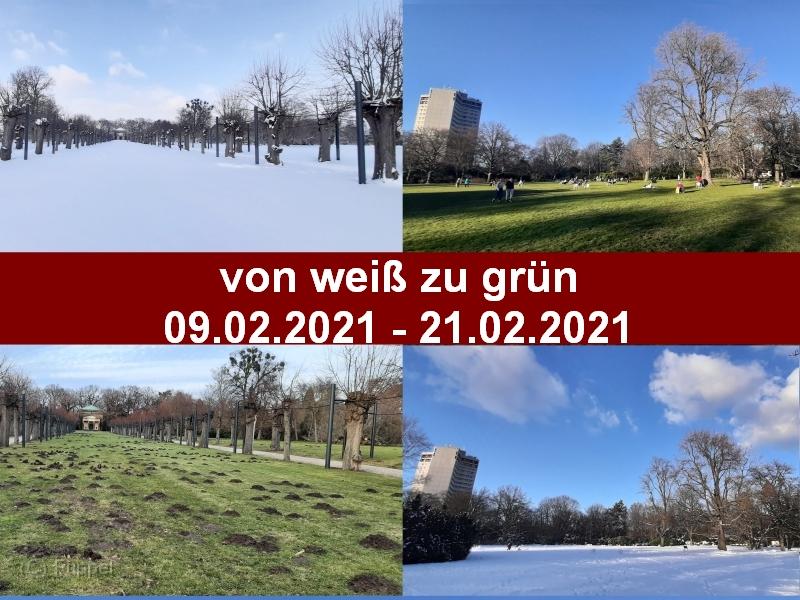 2021/20210221 von weiss zu gruen/index.html